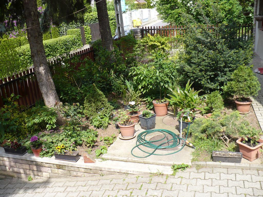Kitty Apartman Apartment Miskolc Ngoại thất bức ảnh