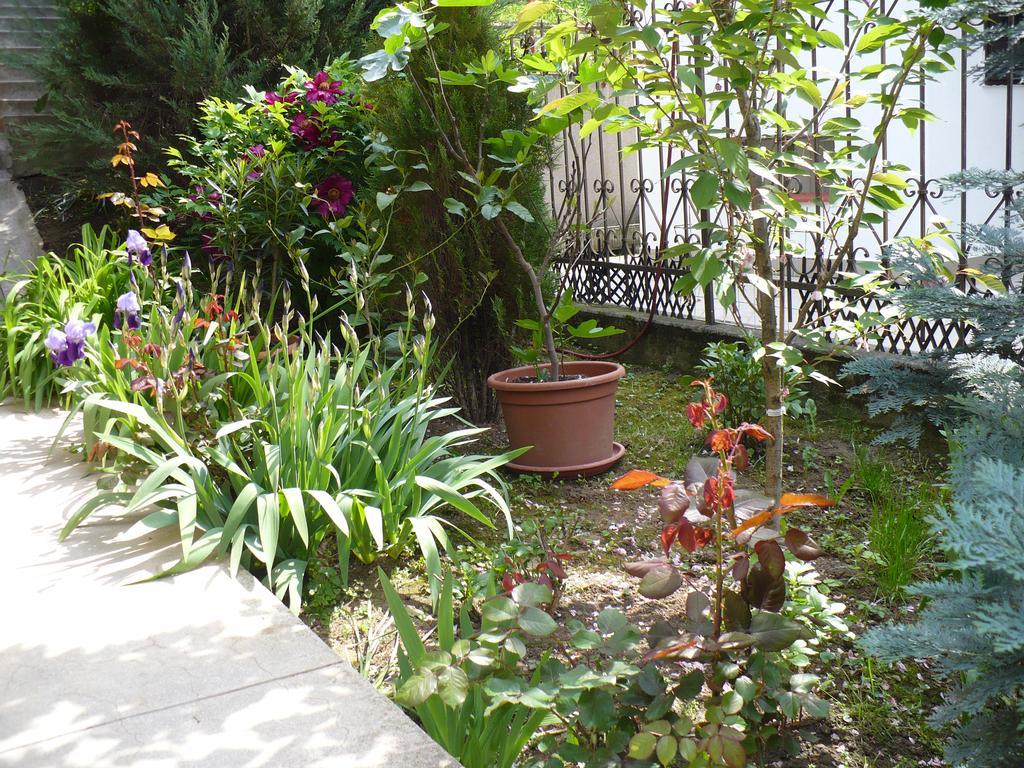 Kitty Apartman Apartment Miskolc Ngoại thất bức ảnh
